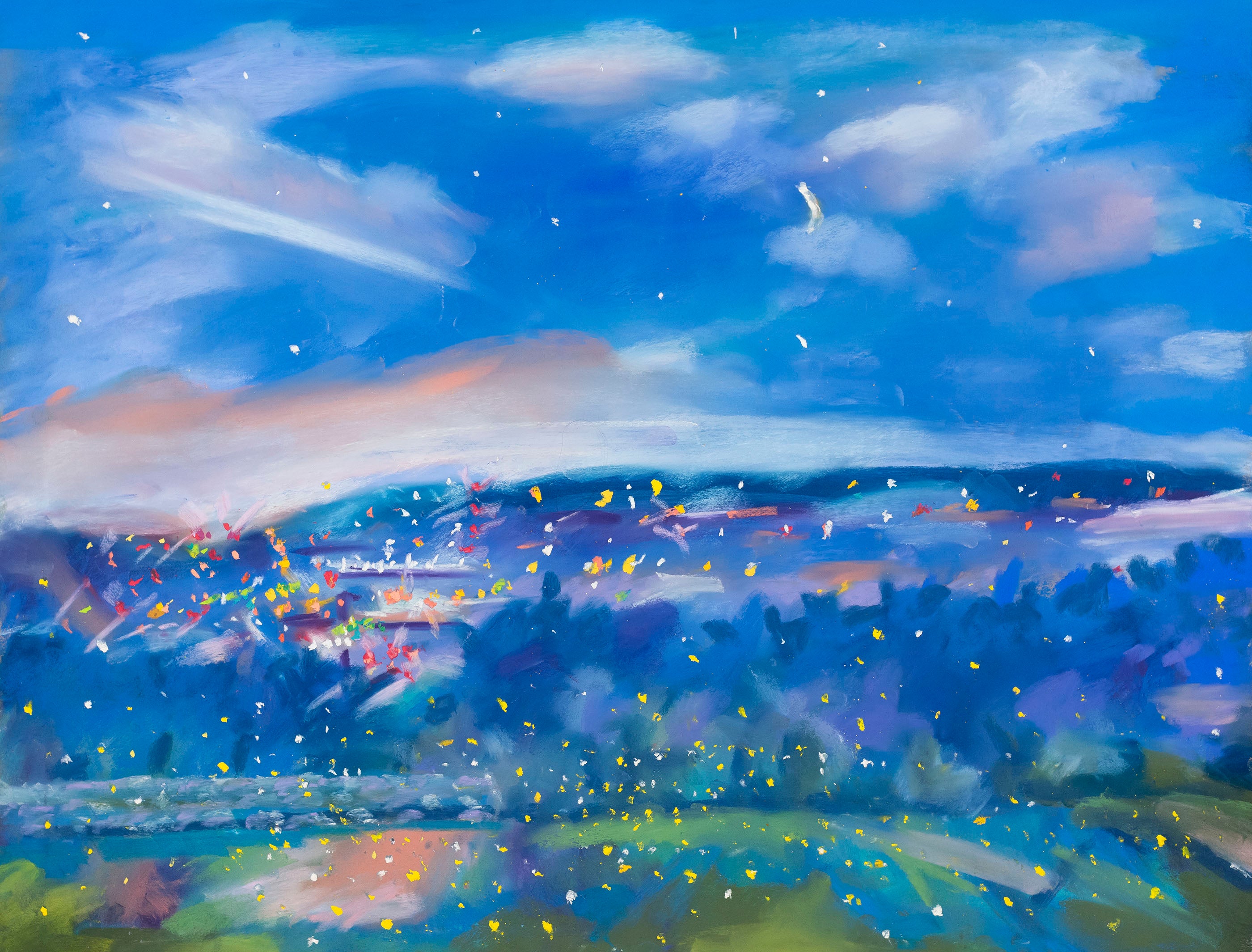 Fireflies at Sunset Park
