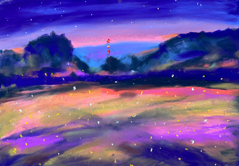 Fireflies on Summer Solstice